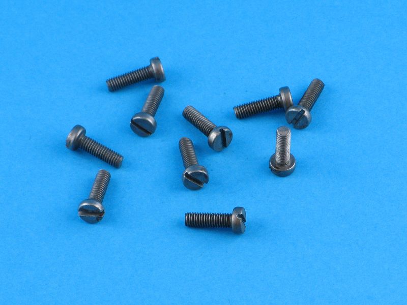 screw M3x10 (10)